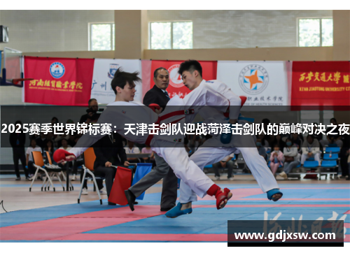 2025赛季世界锦标赛：天津击剑队迎战菏泽击剑队的巅峰对决之夜