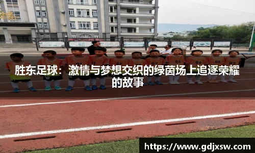 胜东足球：激情与梦想交织的绿茵场上追逐荣耀的故事